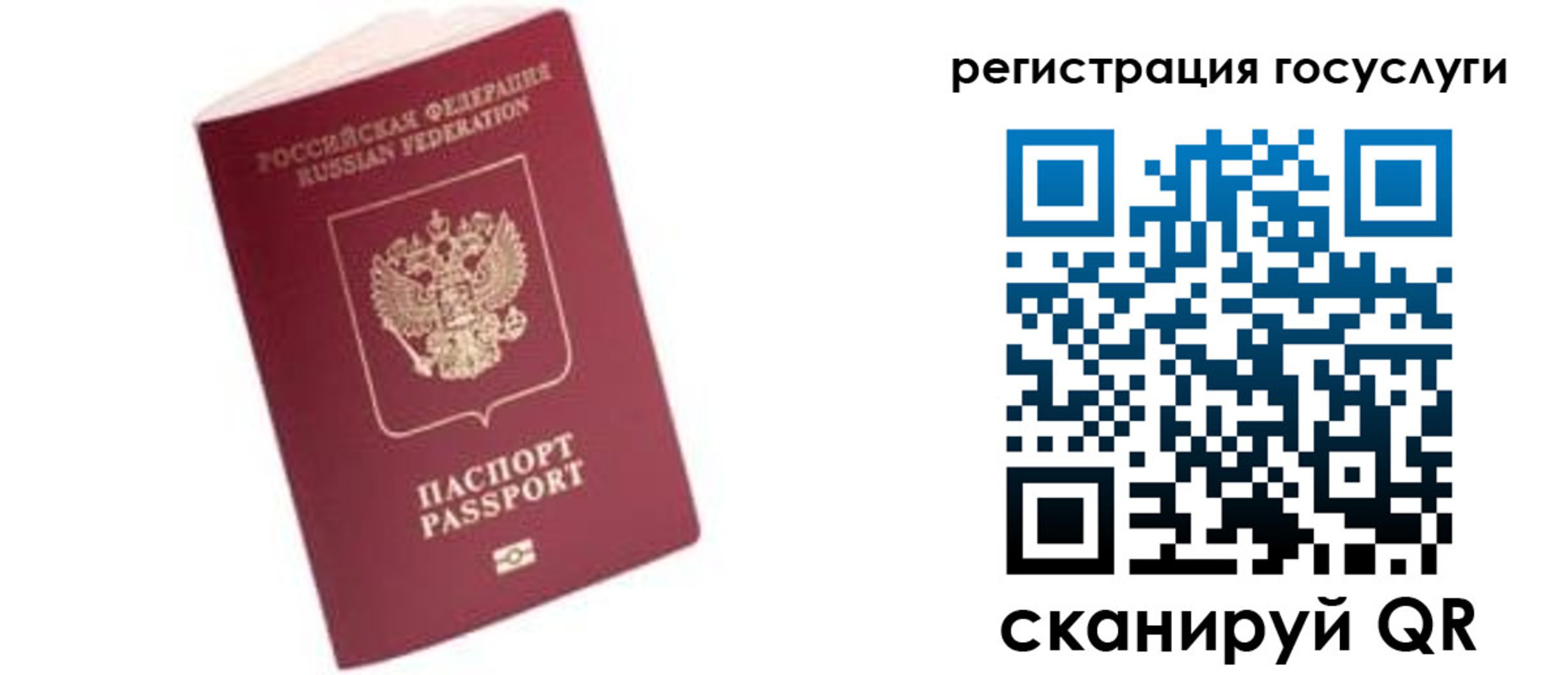 прописка поиск в Петрозаводске